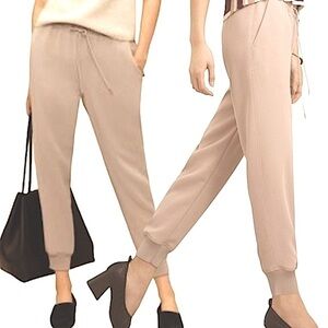 Aritzia Wilfred Buffon Tan Nude Pull on Dress Jogger Sz XS Japanese Crepe Pant